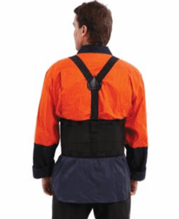 ProChoice Back Support Belt - Image 2