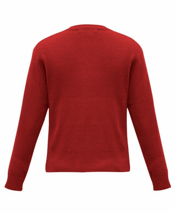 Biz Collection WP6008 Wool Mix Jumper - Image 4