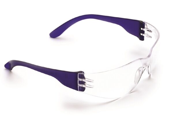 ProChoice 1600 Tsunami Safety Glasses, Clear