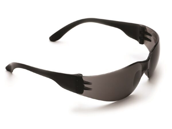 ProChoice 1602 Tsunami Safety Glasses, Smoke